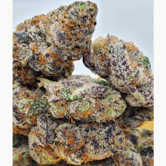 World Class Cannabis - Oldtimer’s Haze - 1