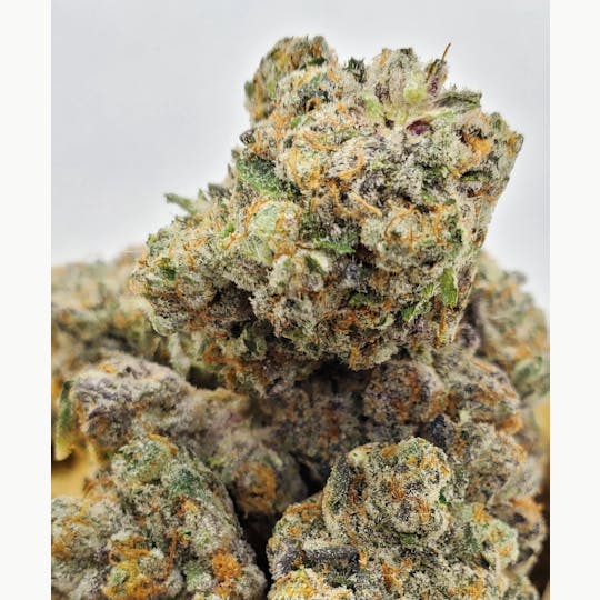 World Class Cannabis - Georgia Pie - 1