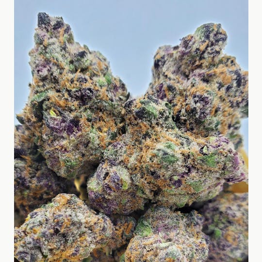 World Class Cannabis - Purple Mimosa - 1