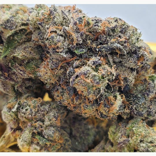 World Class Cannabis - Grape Stomper - 1