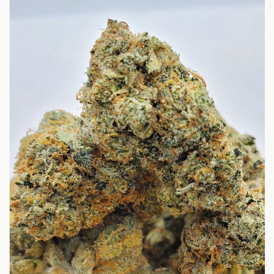 World Class Cannabis - UltraViolet OG - 1