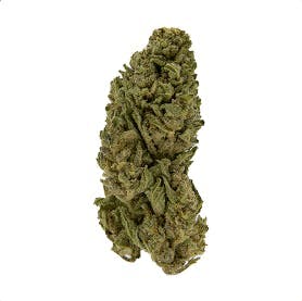 Smoakland - Smoakland Xclusivez | Gorilla Glue | Big Buds | 28g - 1