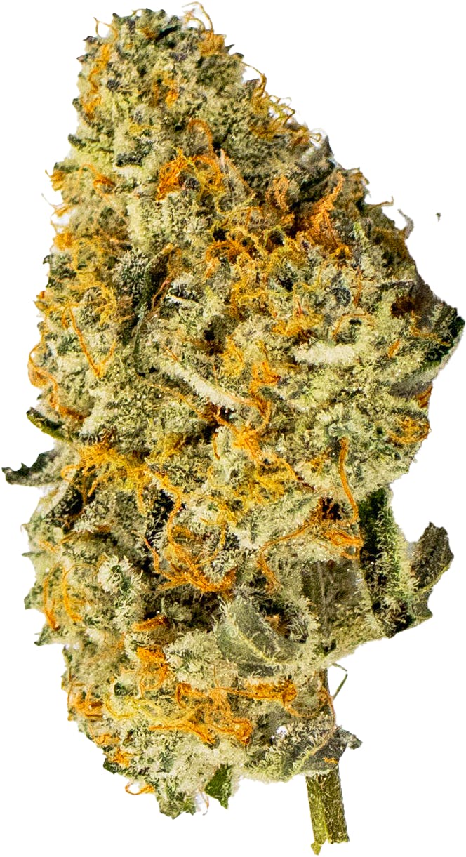 High Life Farms - MI - High Life Farms Platinum Kush Mints Prepackaged 3.5g - 1