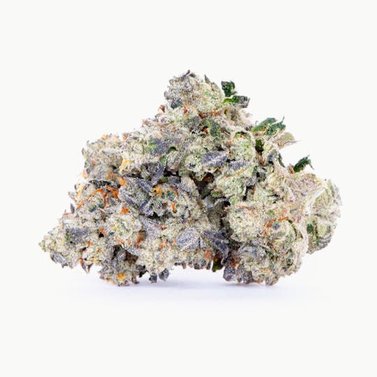 Pure Beauty - Shy Guy | 3.5g Indoor - 1