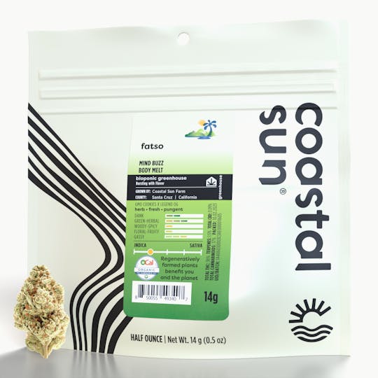 Coastal Sun - Fatso Greenhouse Flower 14g - 1