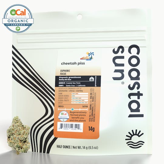 Coastal Sun - Cheetah Piss Greenhouse Flower 14g - 1