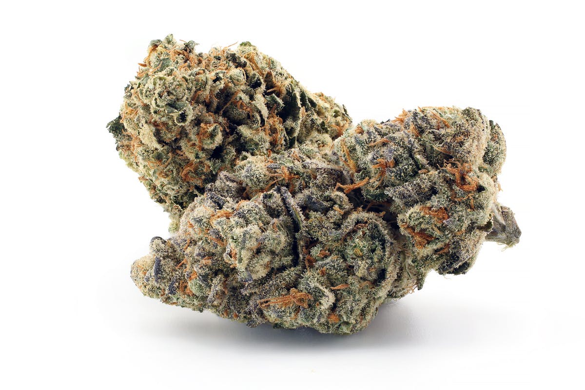 Aeterna - Cheetah Piss 14 grams - 1