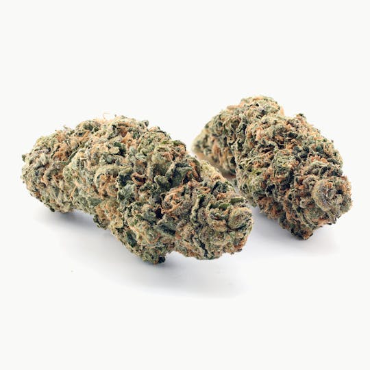 Aeterna - Papaya Cake 14 grams - 1