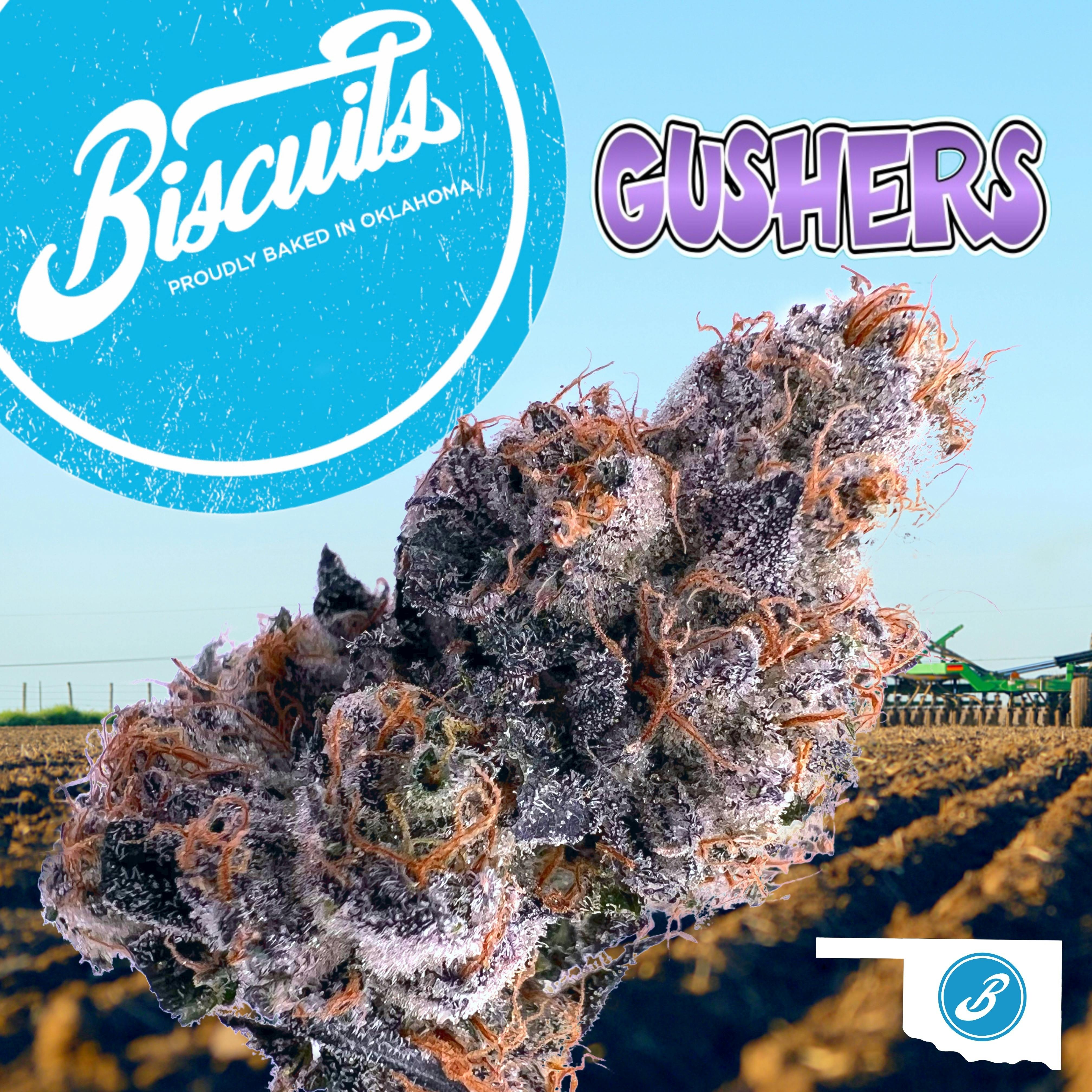 Biscuits - Gushers - Flower - 1