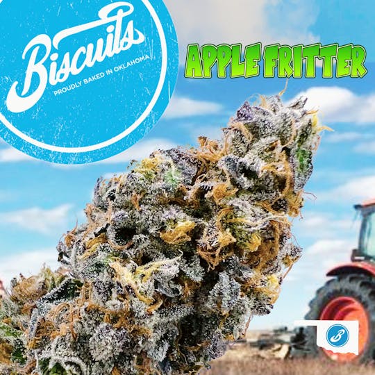 Biscuits - Apple Fritter - Flower - 1
