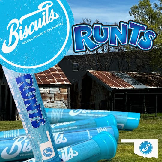 Biscuits - Runtz - Pre Roll | 1g - 1