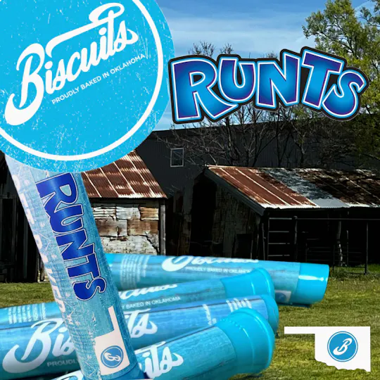 Biscuits - Biscuits | Runtz | Joint | 1g - 1