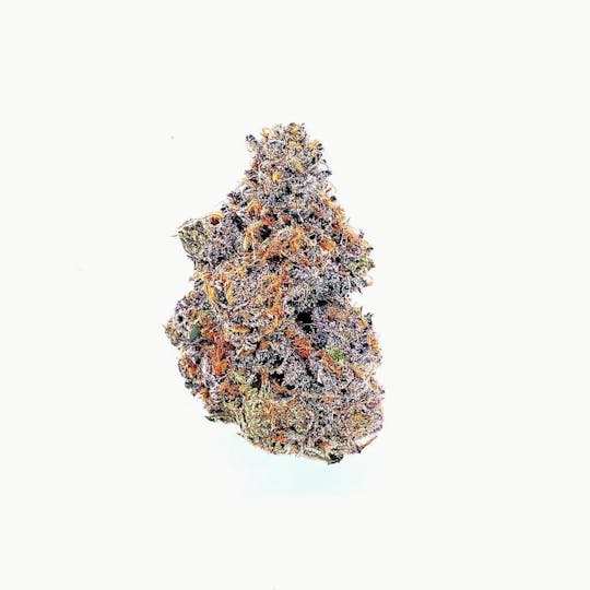 Zero Gravity Cannabis - Flower - Stankasaurus 70/30 Sativa Dominant - 1