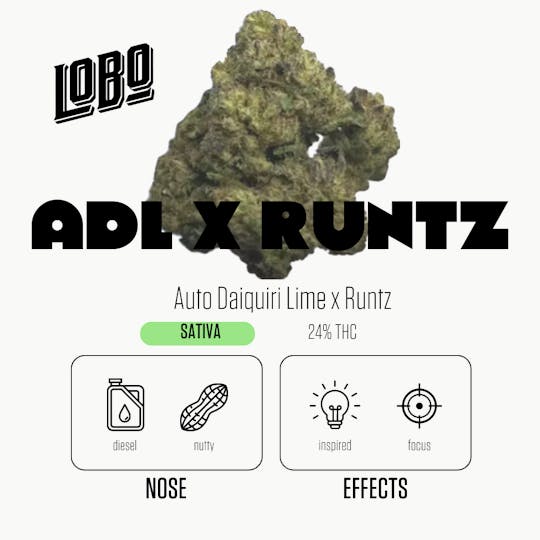 Lobo Cannagar - Bold Cannagar - ADL x Runtz - 1