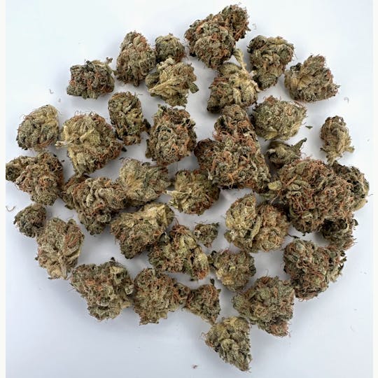Etain - Forte 7g Smalls - Dosidos (DSD) - 1
