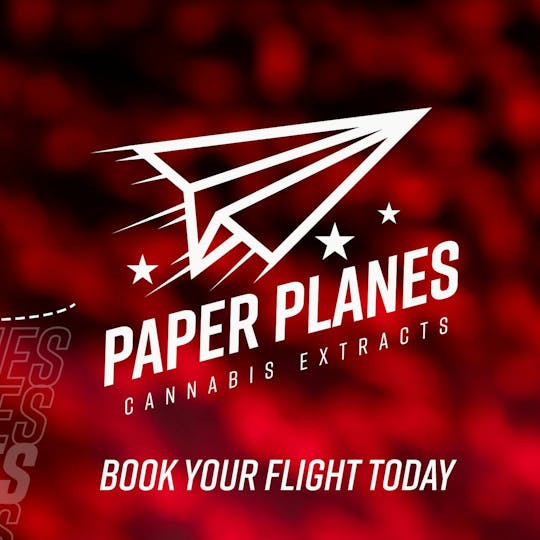 Paper Planes Extracts - Palm Pilot - Battery - 1