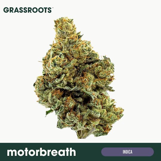 Grassroots - Motorbreath #15 Flower - 1