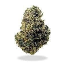 Cannafeen - Cannafeen | Candy Apple | Big Buds - 1