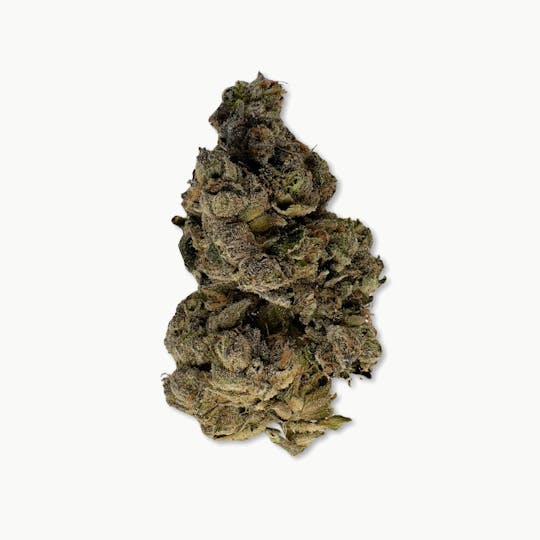 Indico - Cherry Zkittlez - The Last Frontier - 1
