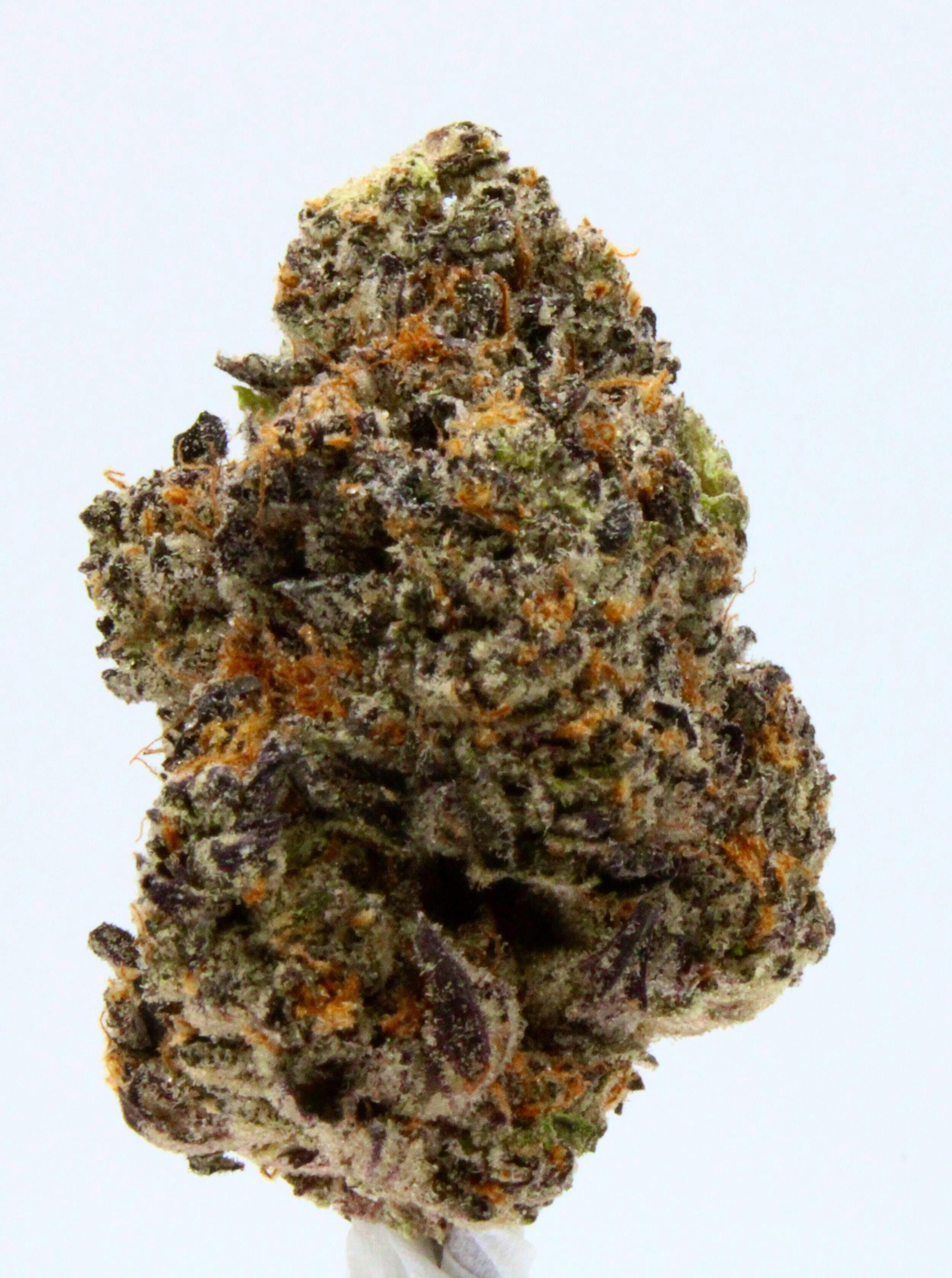 Wild Rose - Premium Indoor Dosi × Kush Mints - Indica Flower Jar 3.5g - 1