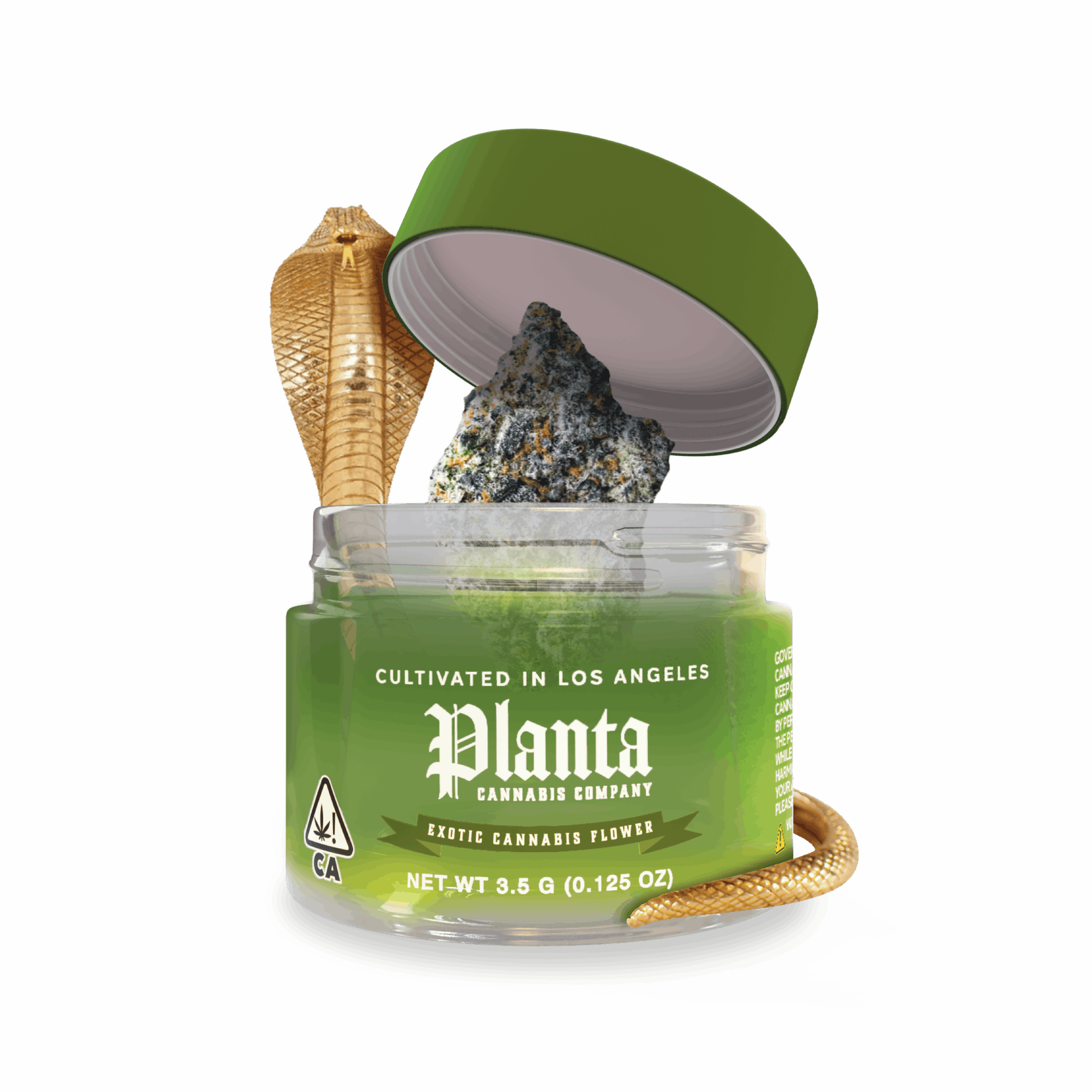 Planta Cannabis co - Cleopatra | Flower | 3.5g - 1
