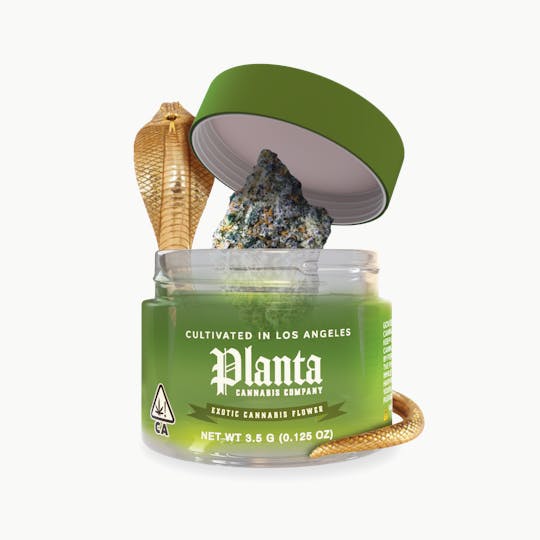 Planta Cannabis co - Cleopatra | Flower | 3.5g - 1