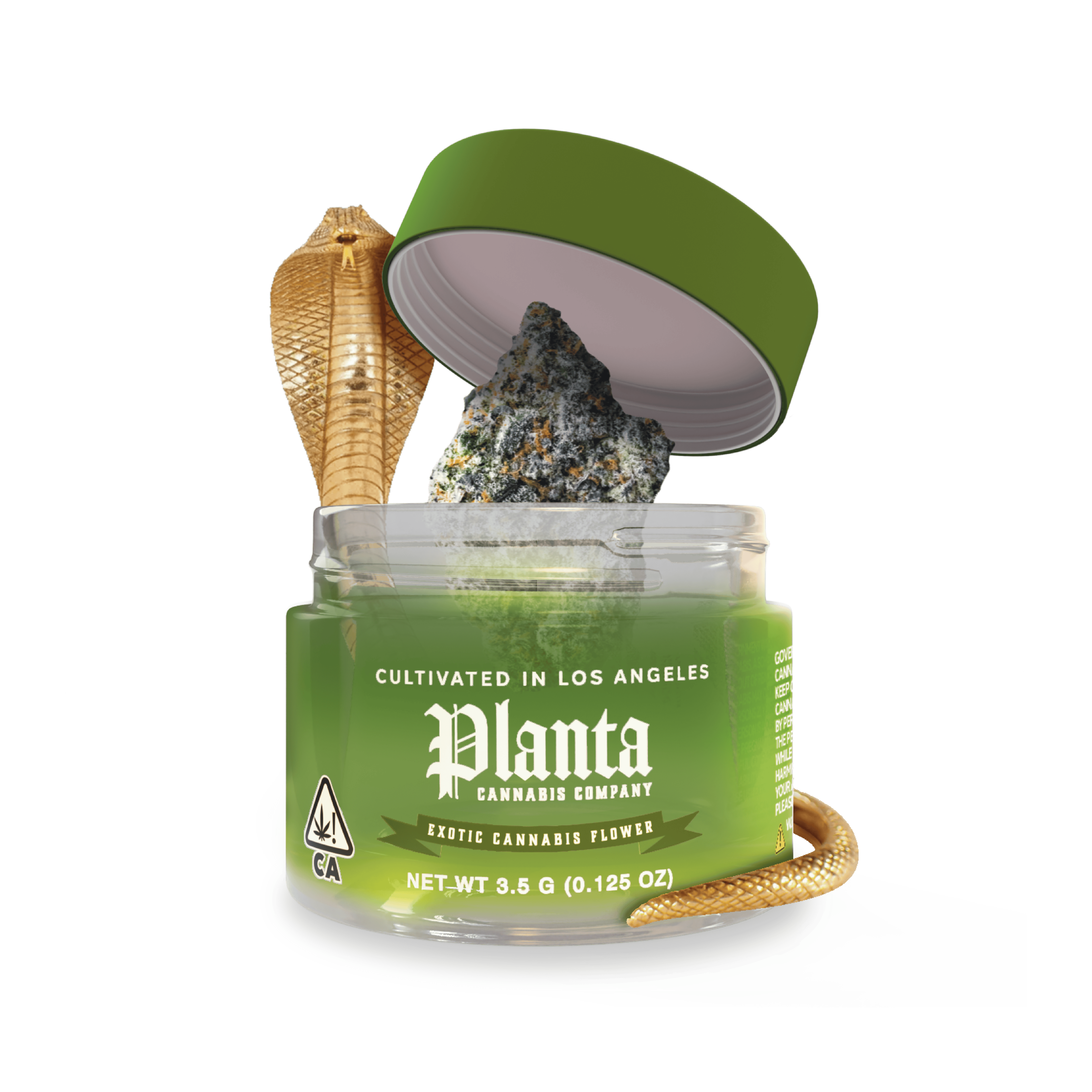 Planta Cannabis co - Planta Cannabis Co | Cleopatra | Big Buds | 3.5g - 1