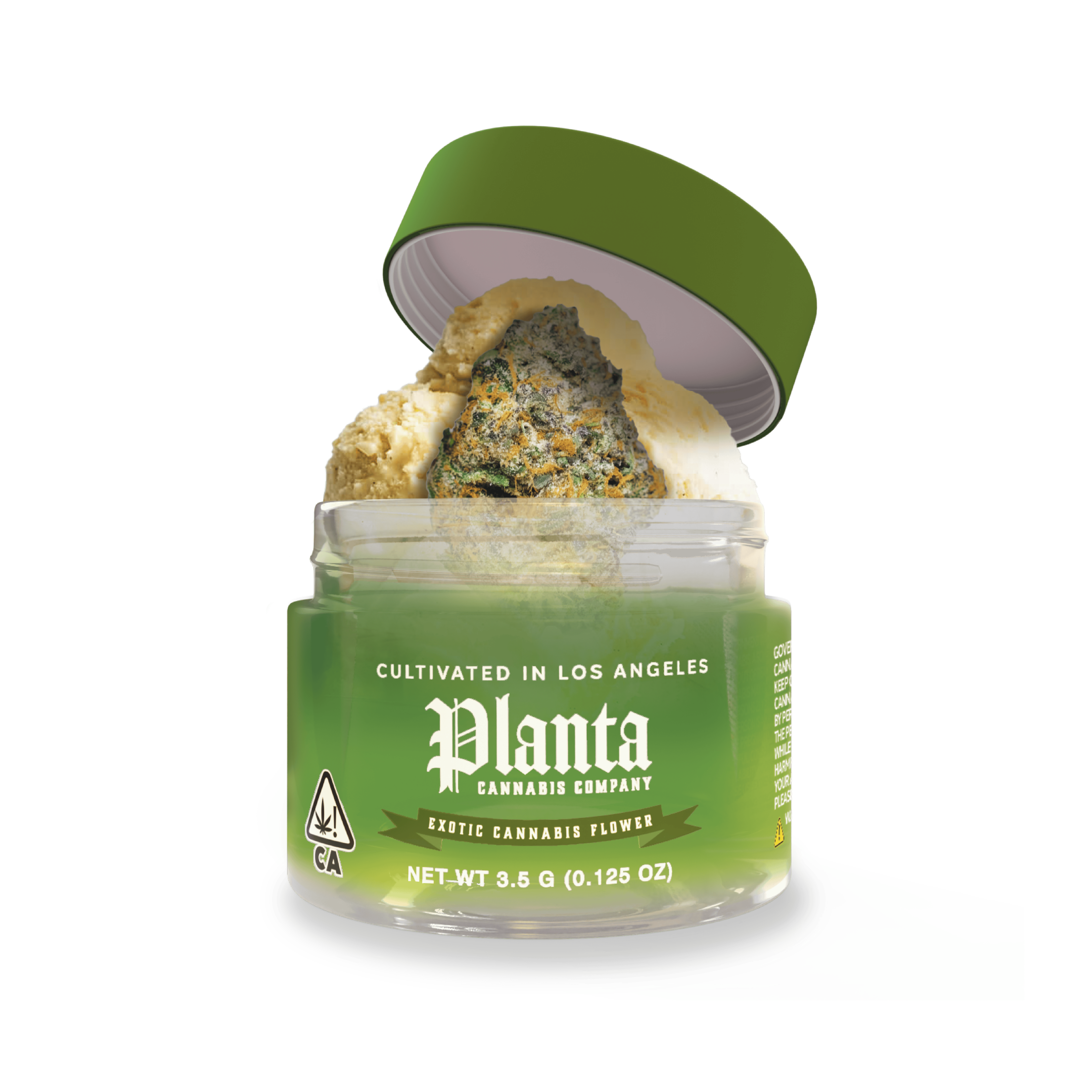 Planta Cannabis co - Planta Cannabis Co | Gelato 41 | Big Buds | 3.5g - 1