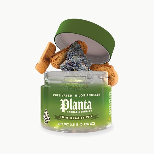 Planta Cannabis co - Biscotti | Flower | 3.5g - 1