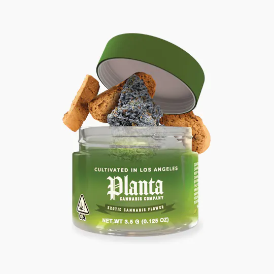 Planta Cannabis co - Planta Cannabis Co | Biscotti | Big Buds | 3.5g - 1