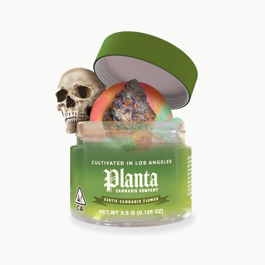 Planta Cannabis co - 11 Coffins | Flower | 3.5g - 1