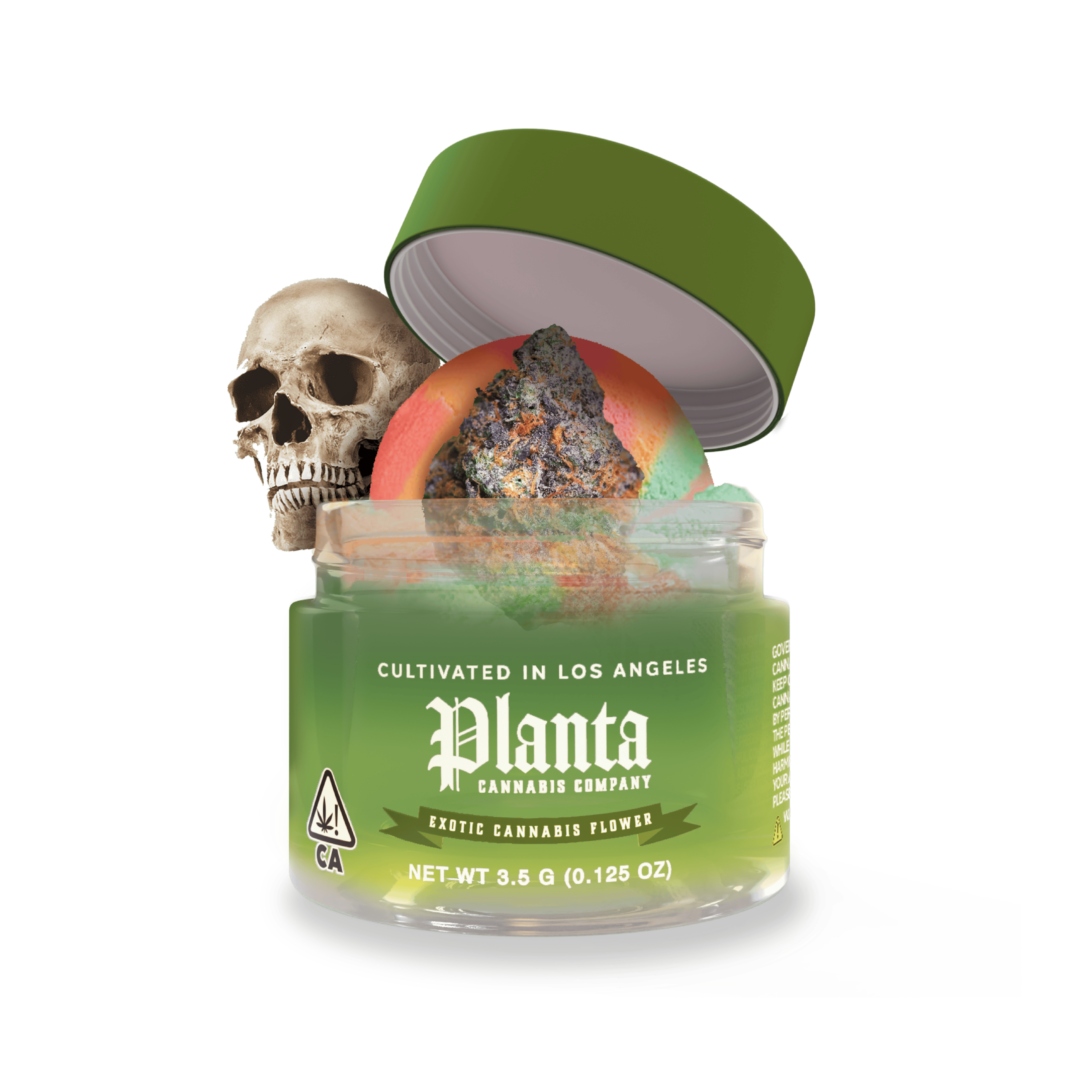 Planta Cannabis co - Planta Cannabis Co | 11 Coffins | Big Buds | 3.5g - 1