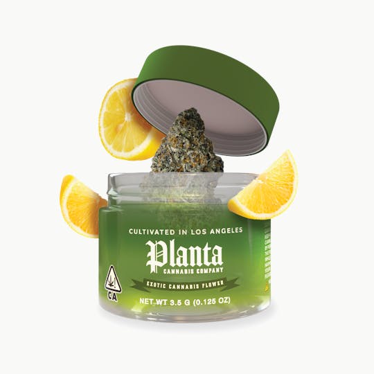 Planta Cannabis co - Gelonade | Flower | 3.5g - 1