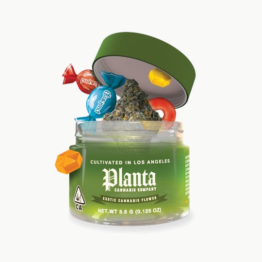 Planta Cannabis co - Coffin Candy | Flower | 3.5g - 1