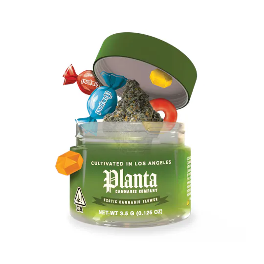 Planta Cannabis Co | Coffin Candy | Big Buds | 1g - Planta Cannabis co Planta Cannabis Co | Coffin Candy | Big Buds | 1g - Planta Cannabis co