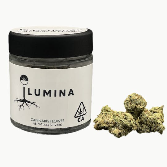 Ilumina - Fruit Tart Flower | 3.5g - 1