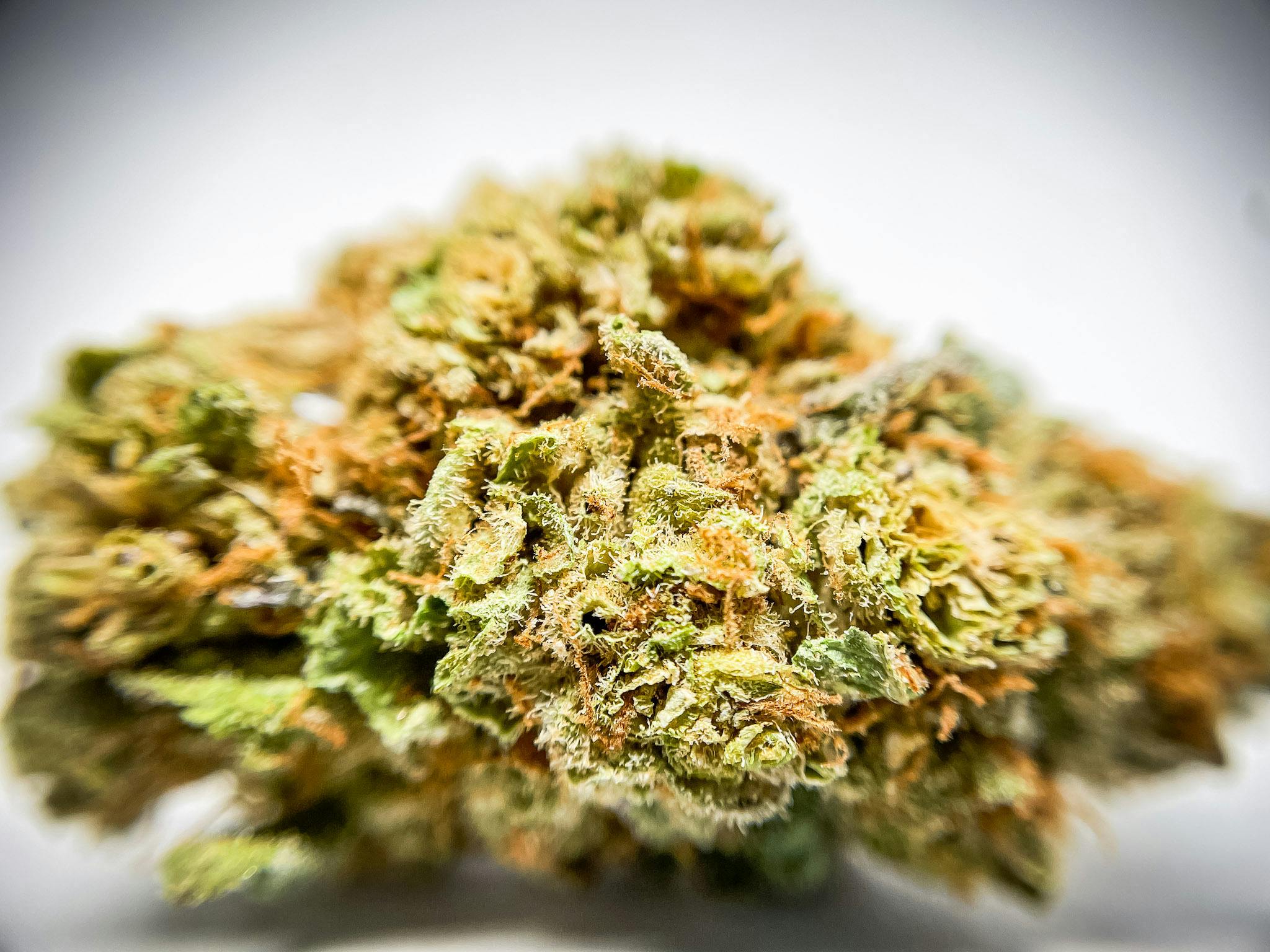 BeWell Organic Medicine - 3.5G Rotten Rozay - 1