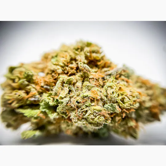 BeWell Organic Medicine - 3.5G Rotten Rozay - 1