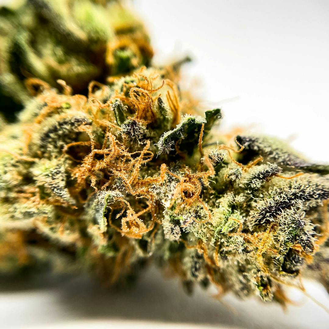 BeWell Organic Medicine - Tropicanna Banana 28G - 1