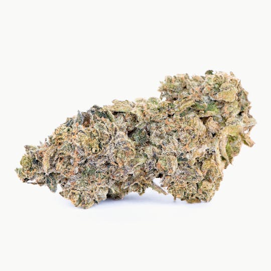 Pure Beauty - Satsuma Sour | 14.17g Indoor - 1