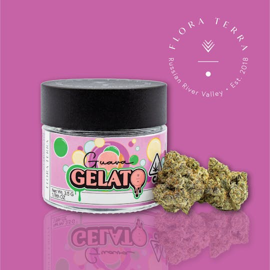 Flora Terra - Flora Terra | Guava Gelato | 3.5g Flower - 1