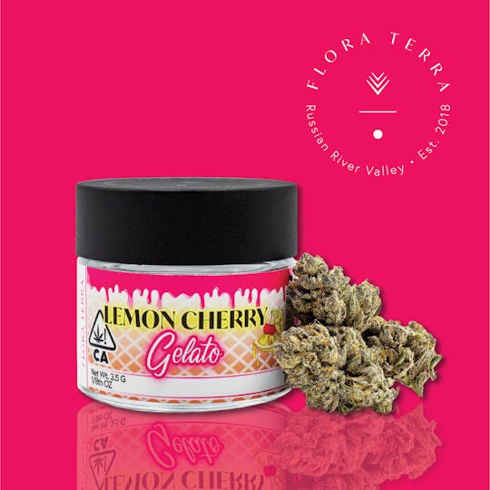 Flora Terra - Flora Terra | Lemon Cherry Gelato | 3.5g Flower - 1