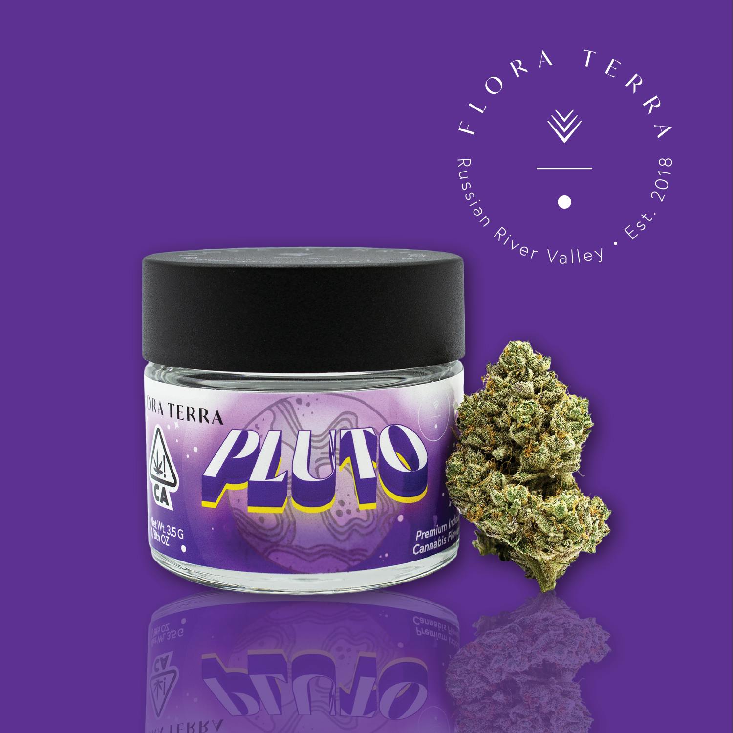 Flora Terra - Flora Terra | Pluto | 3.5g Flower - 1