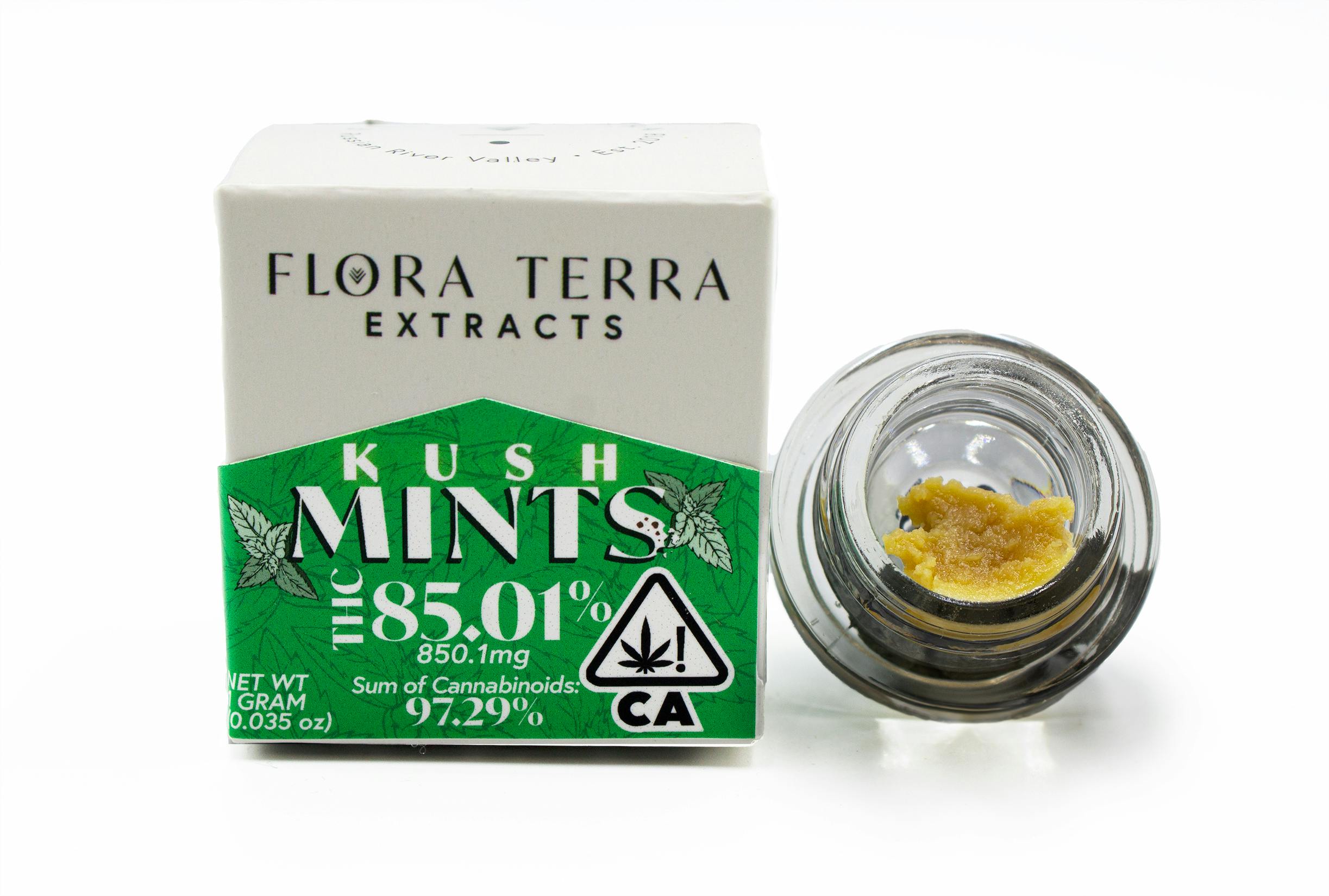 Flora Terra - Flora Terra | Kush Mints | 1g Whipped Badder - 1