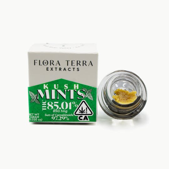 Flora Terra - Flora Terra | Kush Mints | 1g Whipped Badder - 1