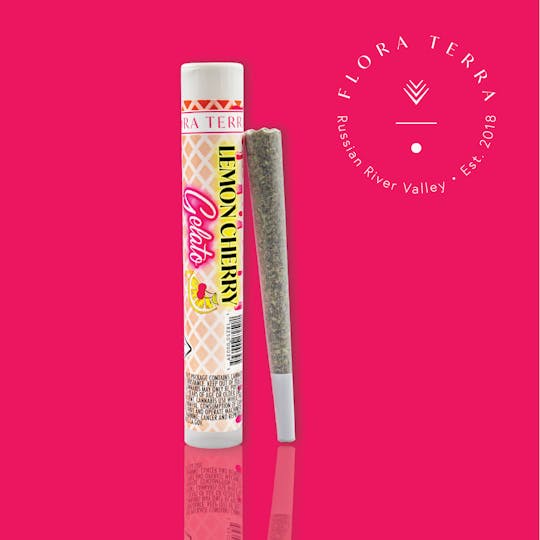 Flora Terra - Flora Terra | Lemon Cherry Gelato | 1g Preroll - 1