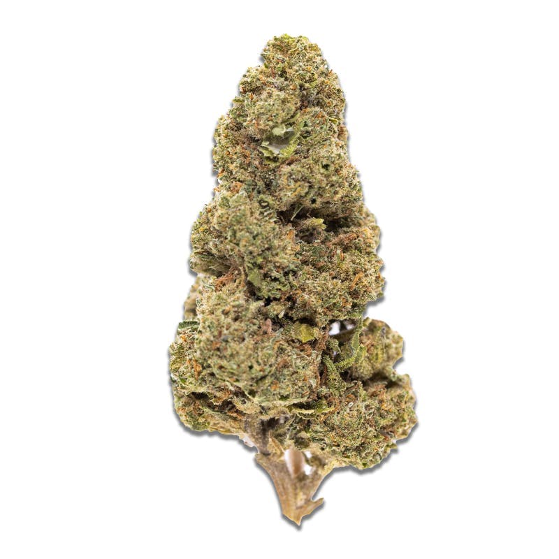 Smoakland - Smoakland Black | Jelly Rancher | Big Buds | 14g - 1