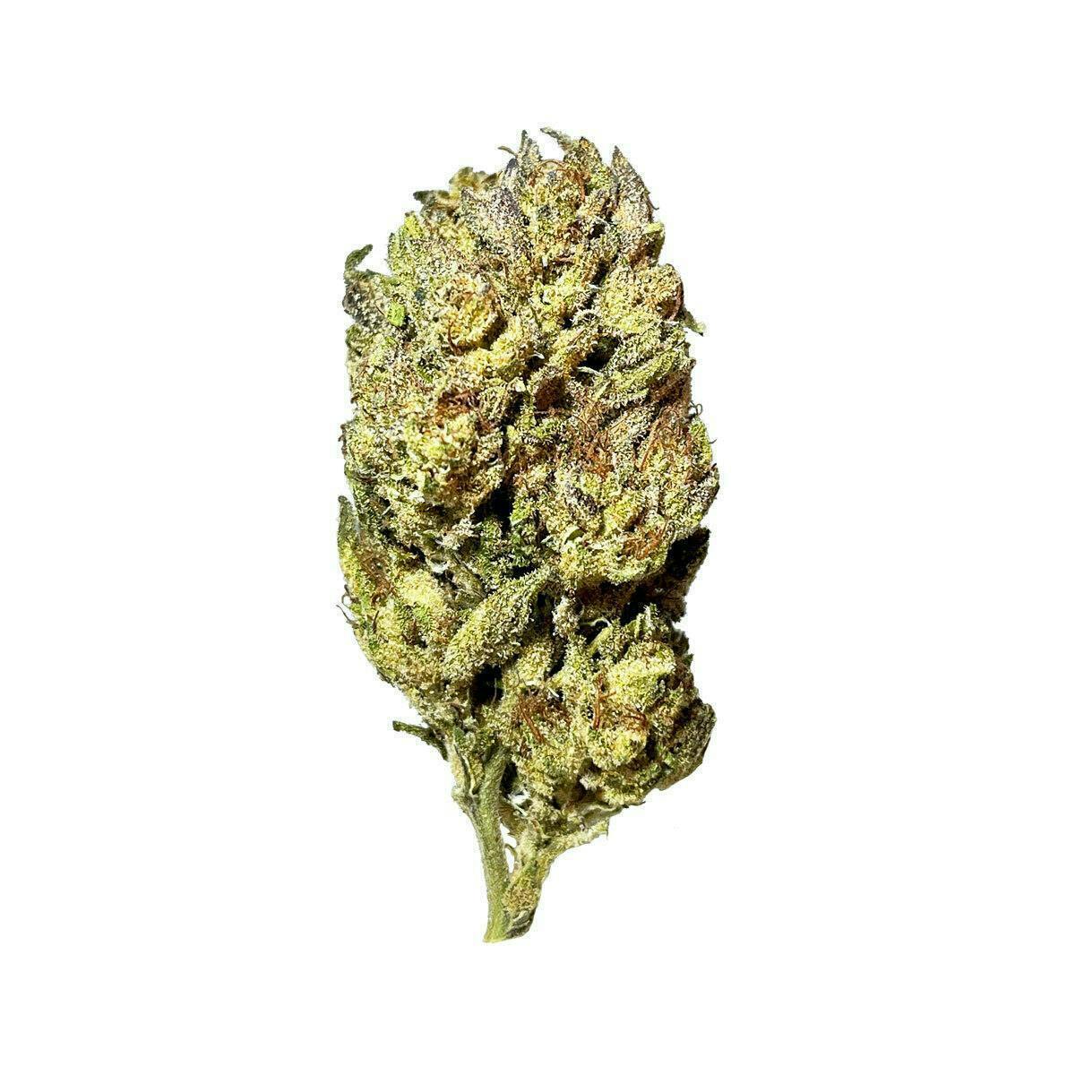 Smoakland - Smoakland | Wet Wet | Big Buds | 14g - 1