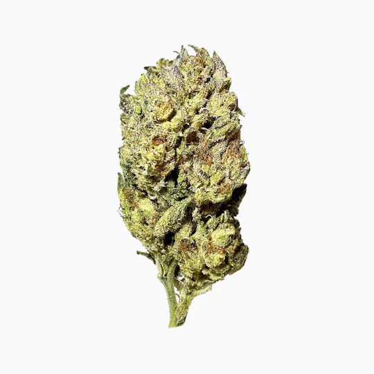 Smoakland - Smoakland | Wet Wet | Big Buds | 14g - 1