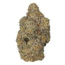Cannafeen - Cannafeen | Tropicana Cherries | Big Buds - 1